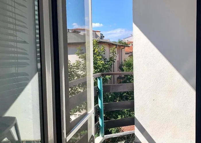 тедис хоум *